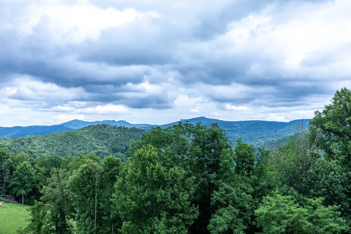 A tranquil, panoramic view of distant mountains framed by dense green trees and a cloudy sky. The peaceful atmosphere highlights the area's natural beauty and the expansive options for hiking and nature exploration.